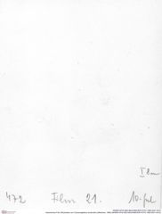 Historisches Foto (Rückseite) von Cracensigillatus acutirostris (Moericke, 1889) (NHMW-AFW-GEO-BACHMAYER-FOTO-1990-0041-0472)
